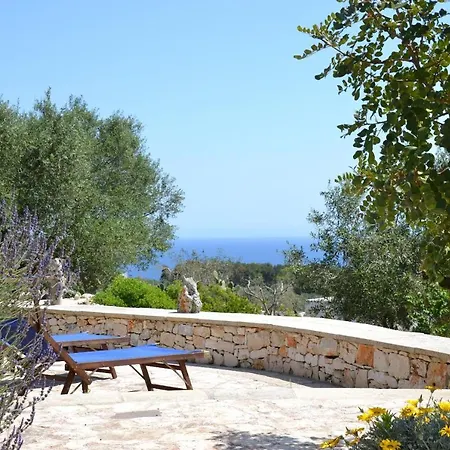Pajara Del Capo *