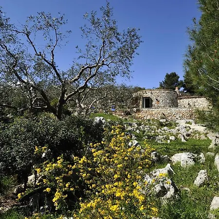 Villa Pajara Del Capo